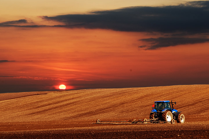 Assicurazione Agricoltura